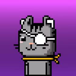 CityRabbit# 1712