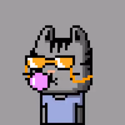CityRabbit# 2851
