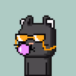 CityRabbit# 3865