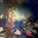 Painterly Dreams
