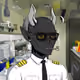 4167