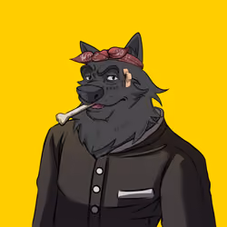 0xWolfgang #4923