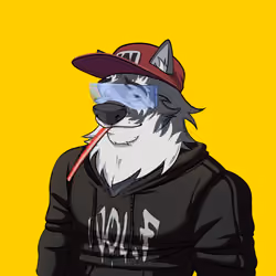 0xWolfgang #4858