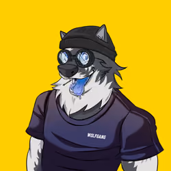 0xWolfgang #4247