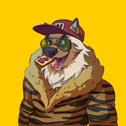 0xWolfgang #4428