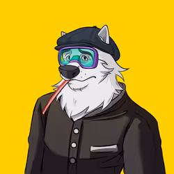 0xWolfgang #4369