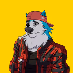 0xWolfgang #1156