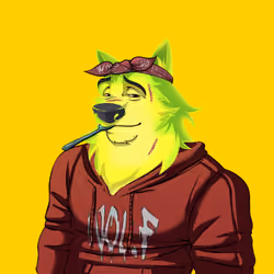 0xWolfgang #3812
