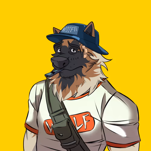 0xwolfgang