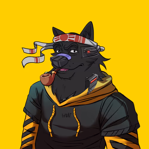 0xwolfgang