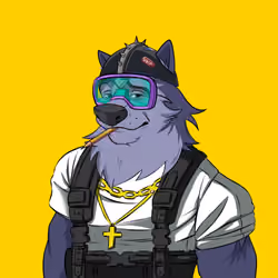0xWolfgang #2270
