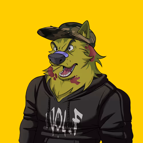 0xwolfgang