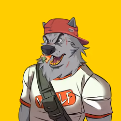 0xWolfgang #3167
