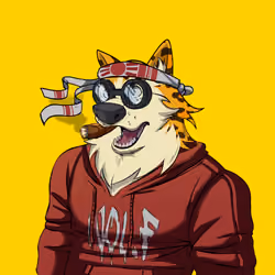 0xWolfgang #3872