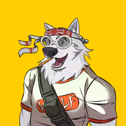 0xWolfgang #2404