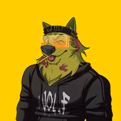 0xWolfgang #1837