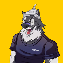 0xWolfgang #2002