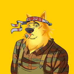 0xWolfgang #4453