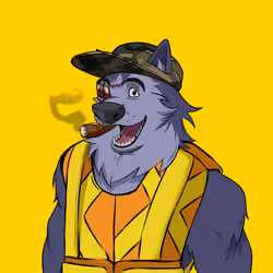 0xWolfgang #2007