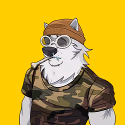 0xWolfgang #4959