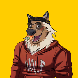 0xWolfgang #1070