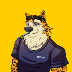 0xWolfgang #3557