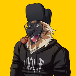 0xWolfgang #1357