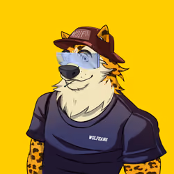 0xWolfgang #4249