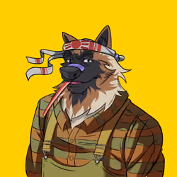 0xWolfgang #3917