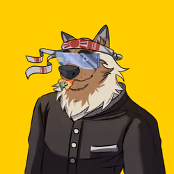 0xWolfgang #4257