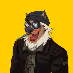 0xWolfgang #4808