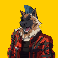 0xWolfgang #2998