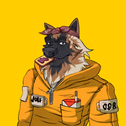 0xWolfgang #3513