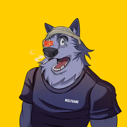 0xWolfgang #3000