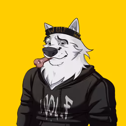 0xWolfgang #1358