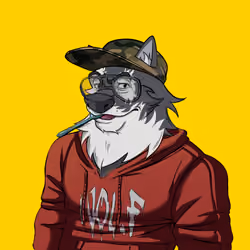 0xWolfgang #4853