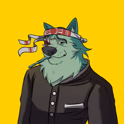 0xWolfgang #611
