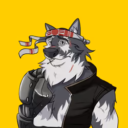0xWolfgang #74