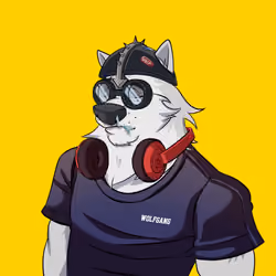 0xWolfgang #4471