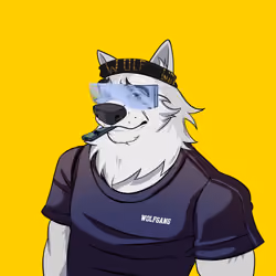 0xWolfgang #3919