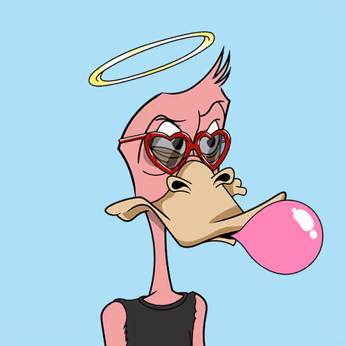 Okayduckyachtclub