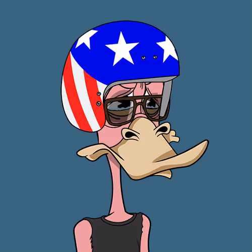 Okayduckyachtclub