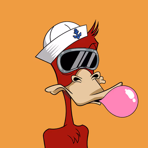 Okayduckyachtclub