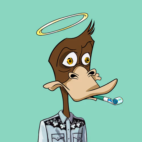 Okayduckyachtclub