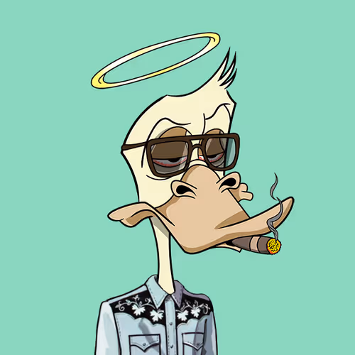 Okayduckyachtclub