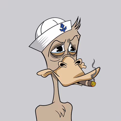 Okayduckyachtclub