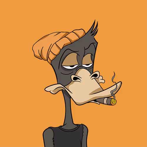 Okayduckyachtclub