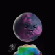 2805