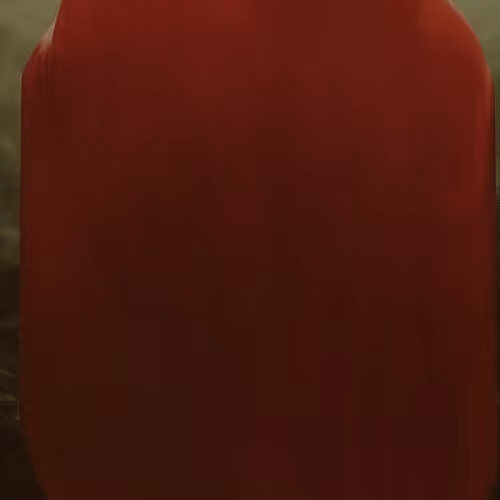 inner child protective ROugE