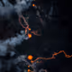 NEW EARTH - yu0TD6SsQV